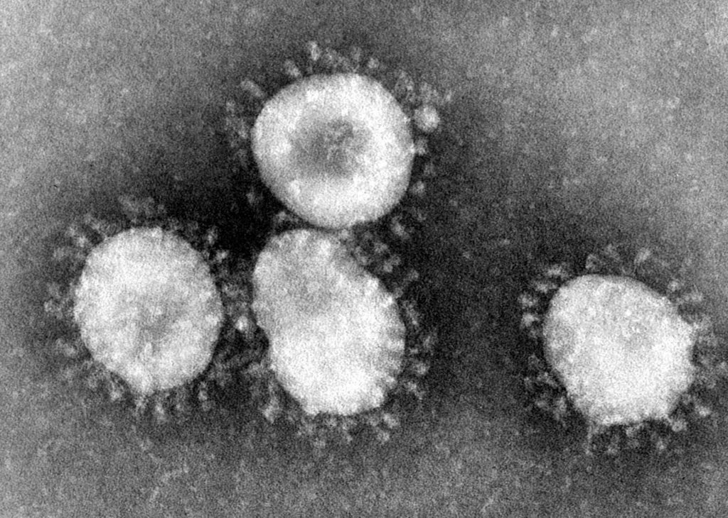 Coronavirus in Odisha