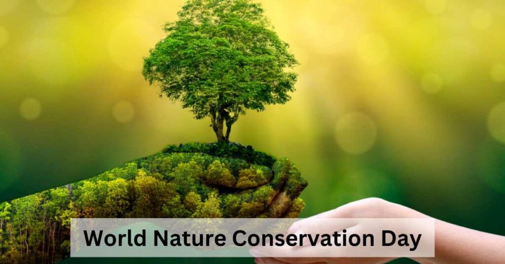 world nature