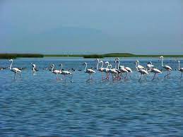 Chilika Tourism In Odisha 