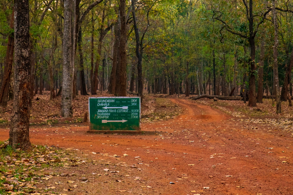 Similipal Biosphere : Genesis of Historicity
