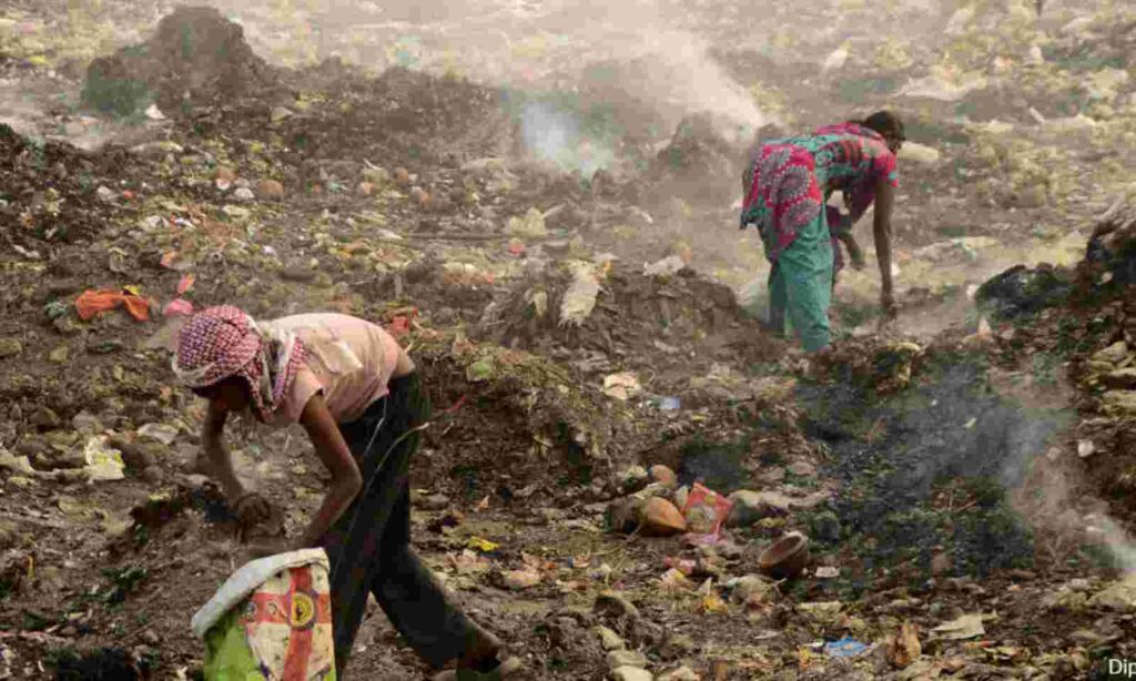 Soil Pollution in Odisha