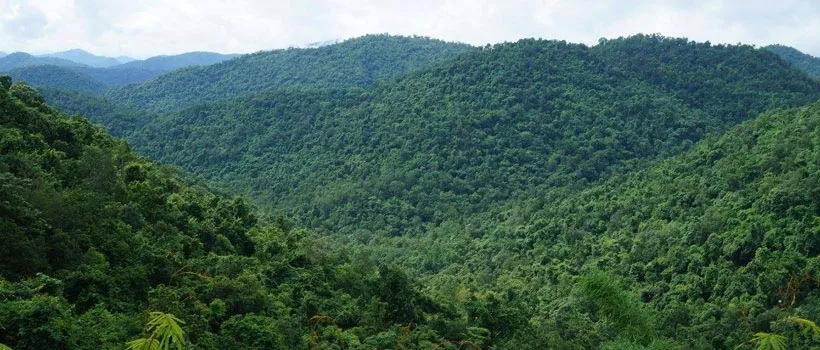 Daringbadi: Lone Hill Station in Odisha